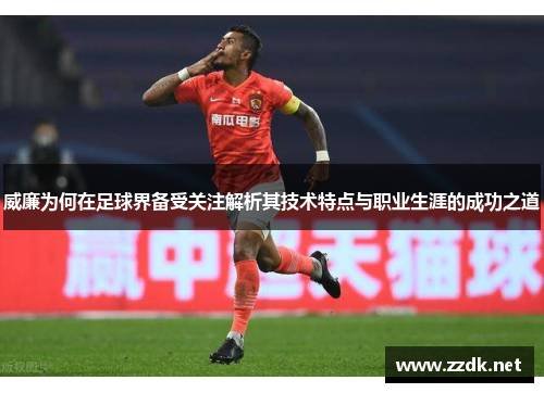 威廉为何在足球界备受关注解析其技术特点与职业生涯的成功之道
