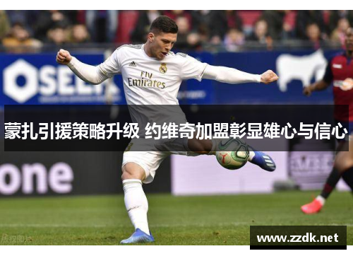 蒙扎引援策略升级 约维奇加盟彰显雄心与信心 蒙扎引援策略升级 约维奇加盟彰显雄心与信心