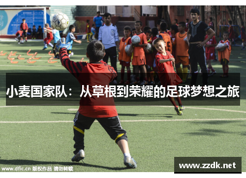 小麦国家队：从草根到荣耀的足球梦想之旅